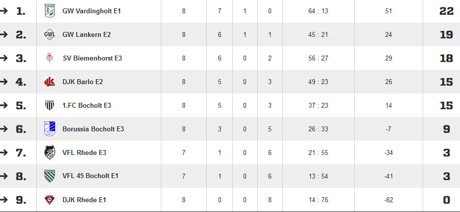E-Jugend Meister Hinrunde Saison 2015/2016